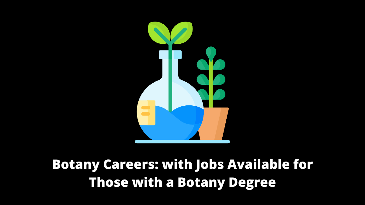 Whatever your background and experience, knowing what botany careers you can explore with a degree in botany can assist you in making an educated choice about your future.