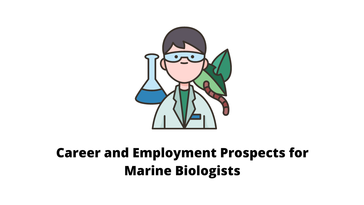 You can work as a marine biologist in the public sector, the commercial sector, non-research, consultancy, business, and academia.
